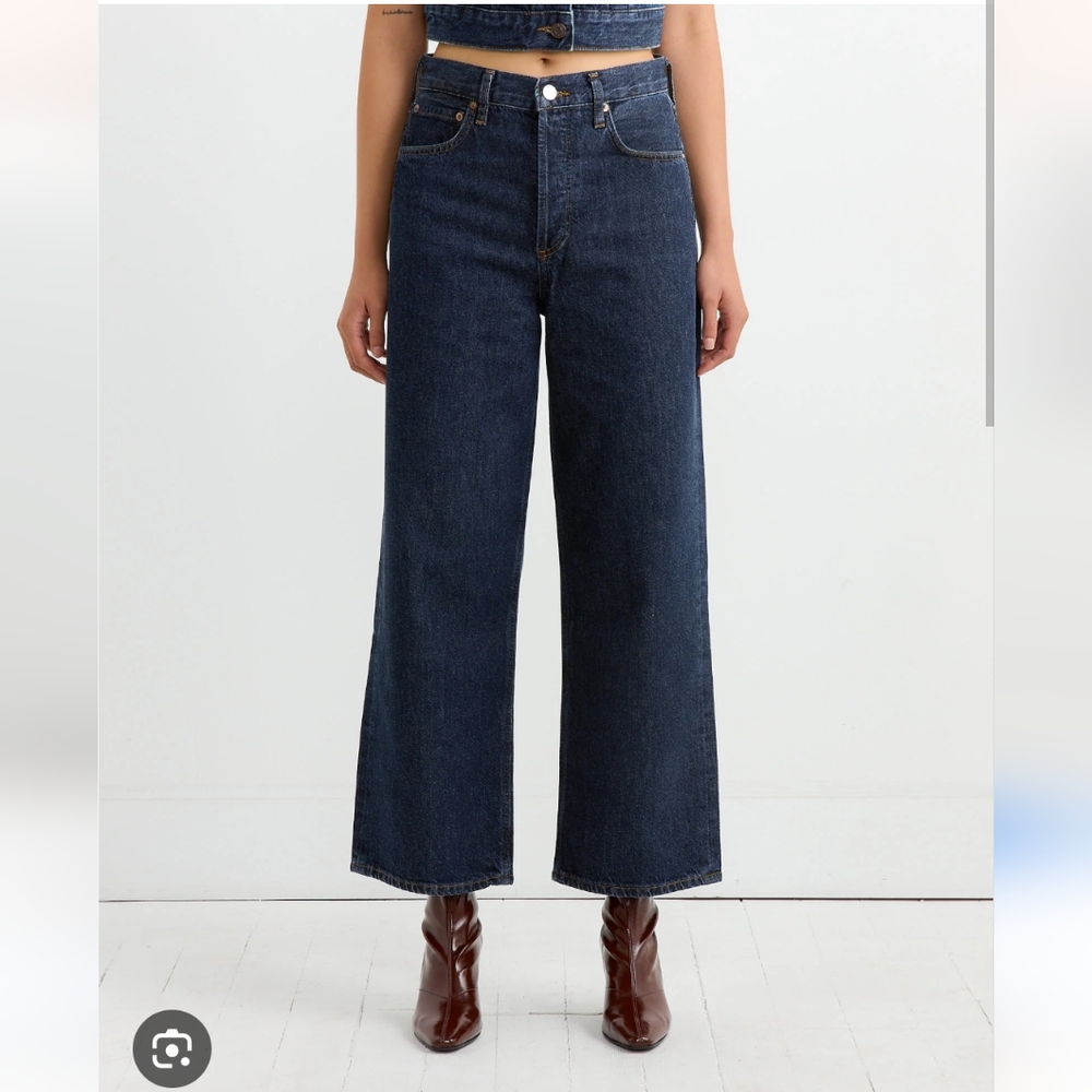 Agolde Ren Jean in Polished